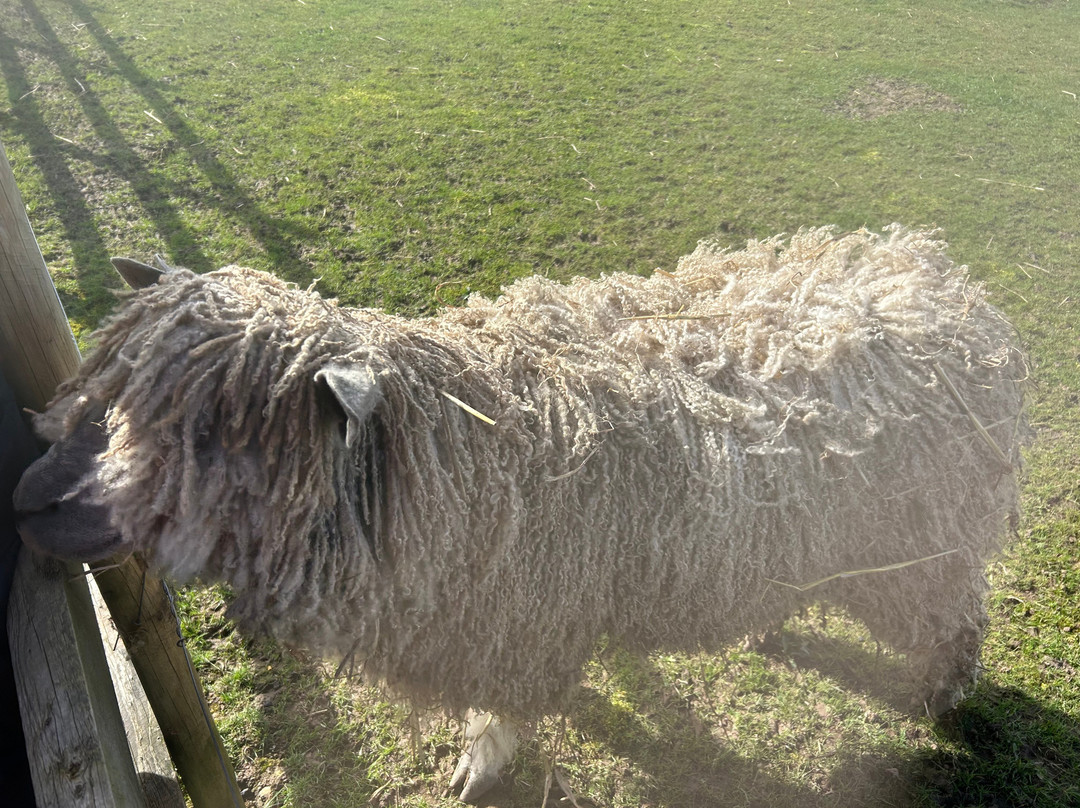 Nunny's Farm CIC景点图片