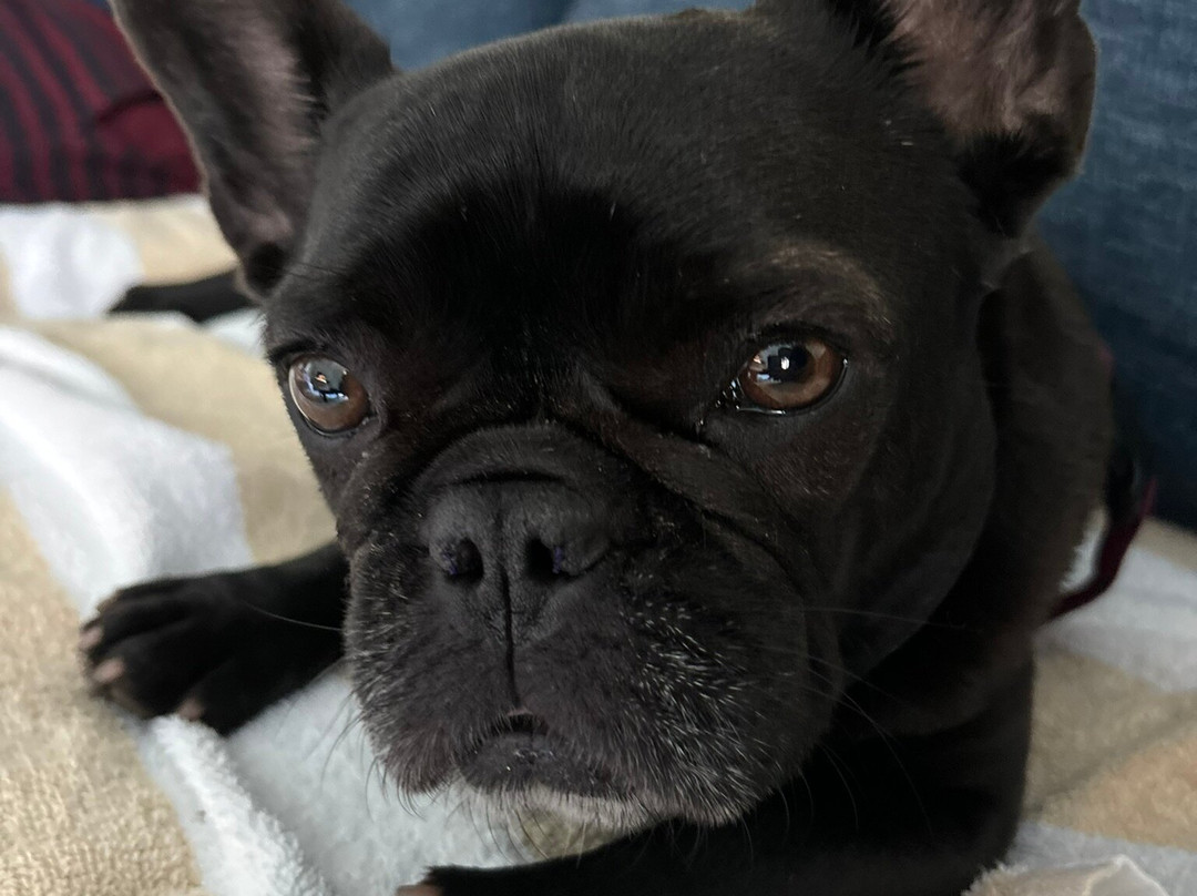 冲浪顶酒店及游泳俱乐部主图