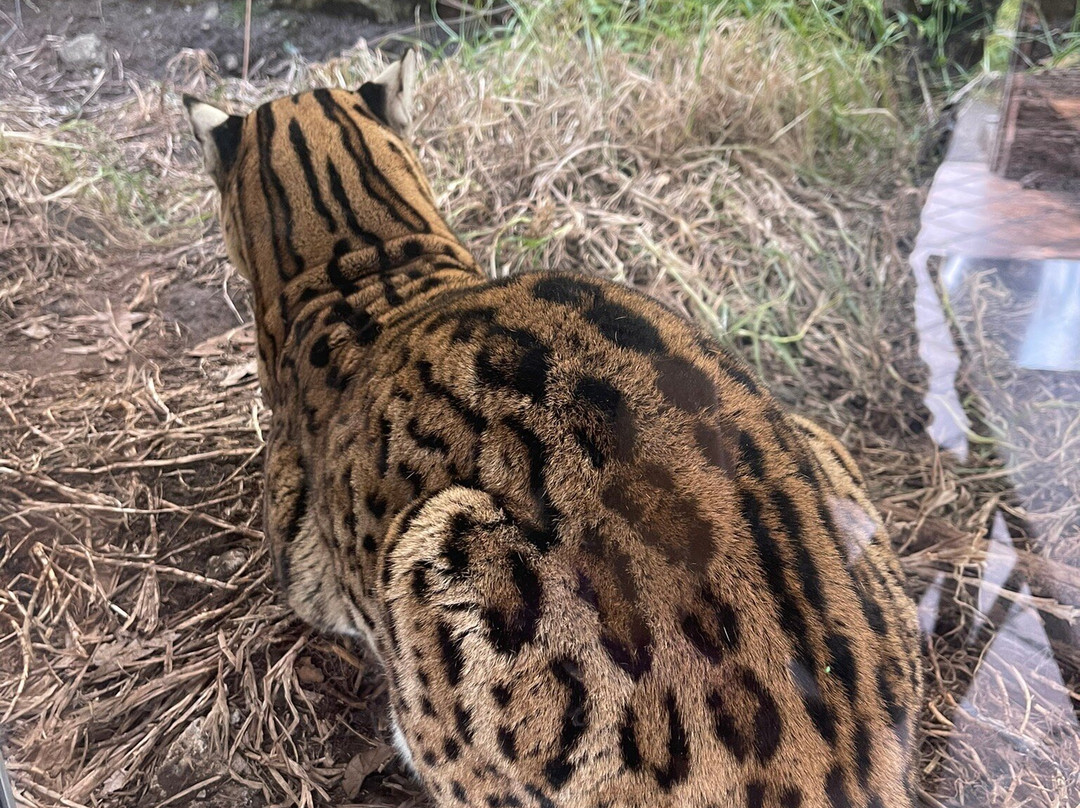Bioparque La Reserva-Cota必去景点