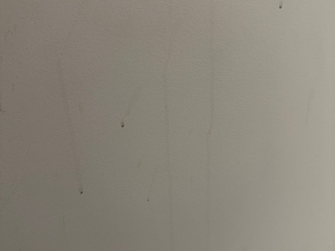 埃默拉尔德酒店主图