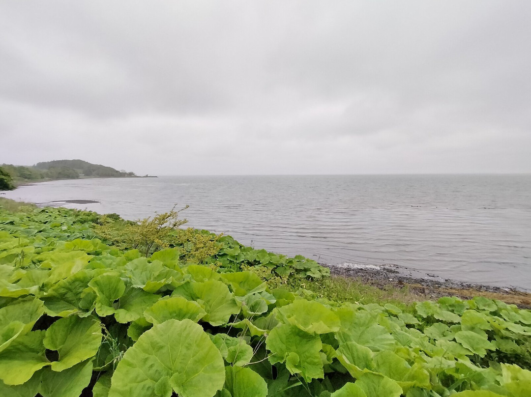 佐吕间湖-佐吕间町必去景点