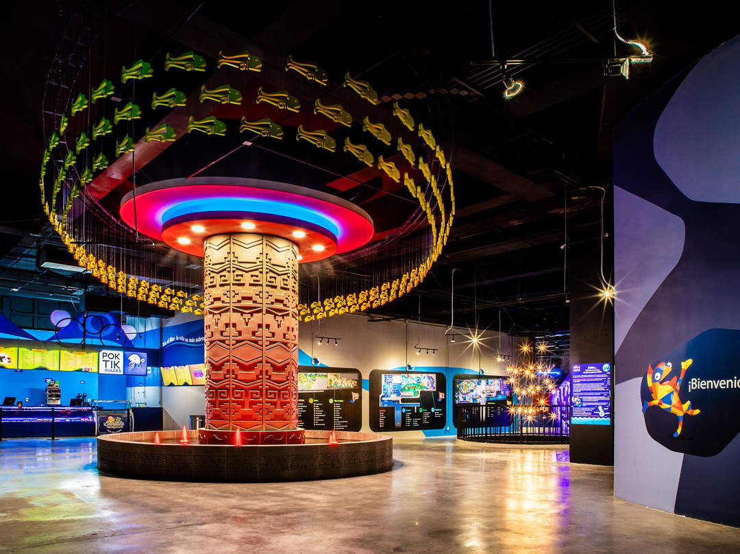 Acuario Michin Ciudad De Mexico-墨西哥城必去景点