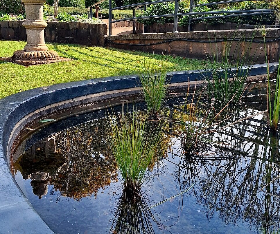 Laurel Bank Park-图沃柏必去景点