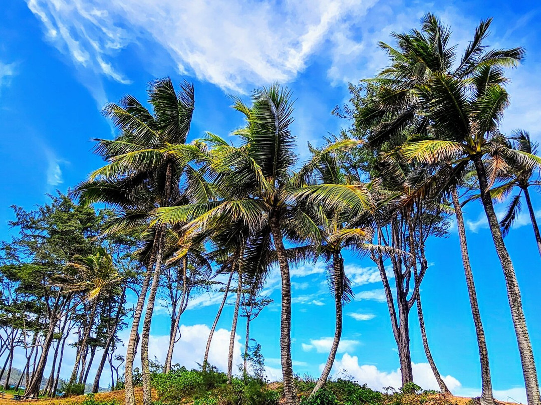 Kokololio Beach Park-哈乌乌拉必去景点