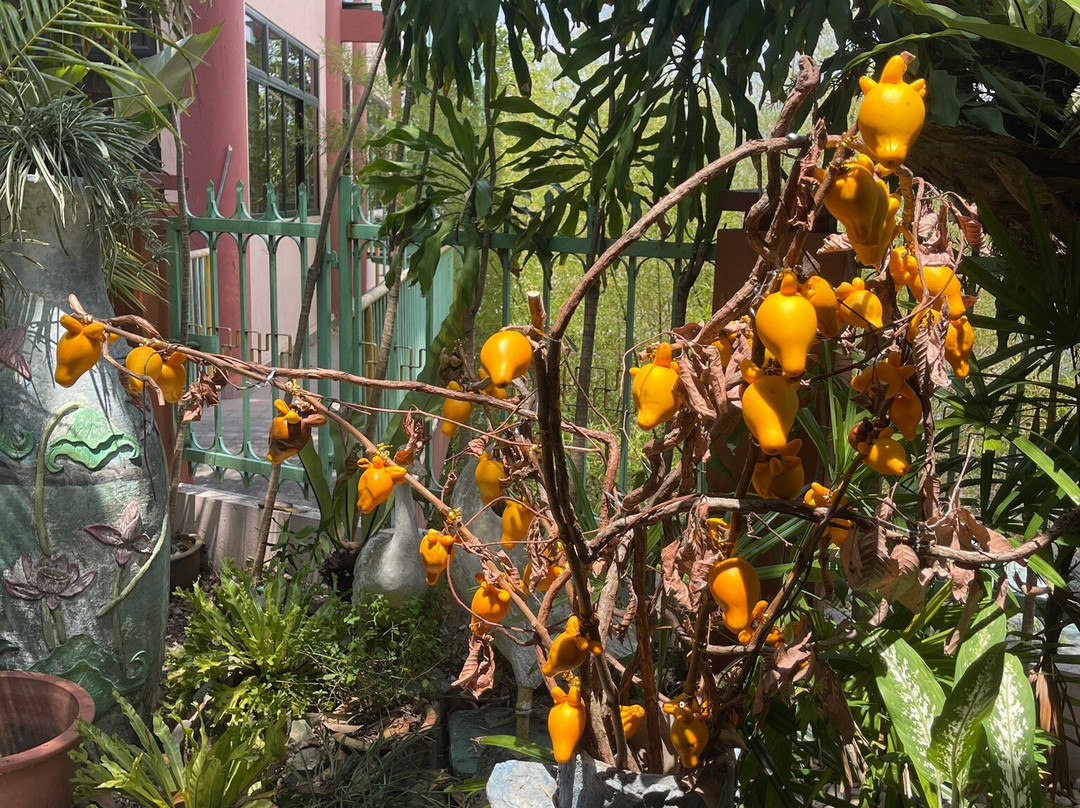 Pu Toh Tze Temple-亚庇必去景点