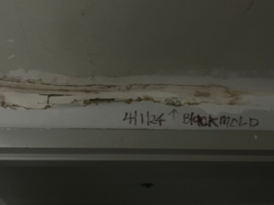 La Quinta Inn & Suites by Wyndham Jackson North