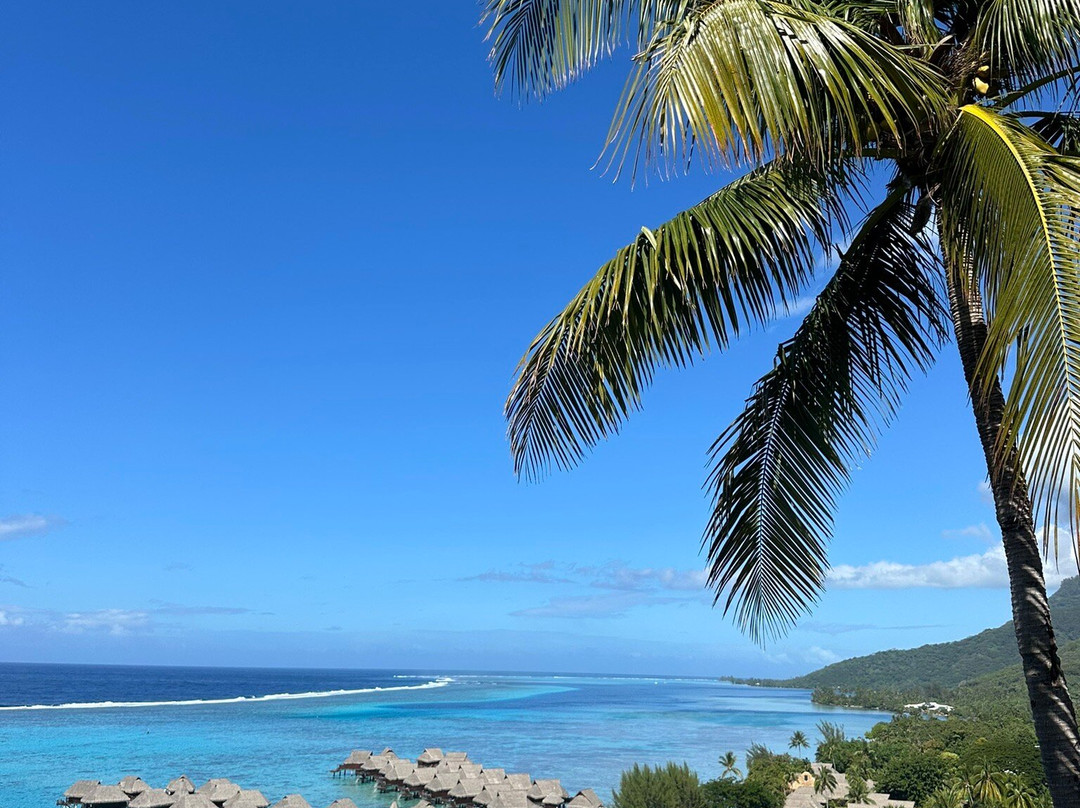 Moorea - Lady in blue-马哈雷帕必去景点