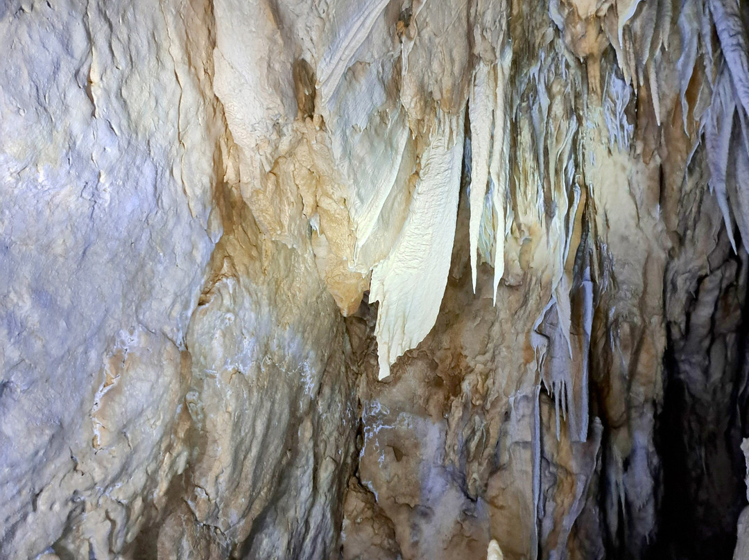 Grotta del Cervo景点图片