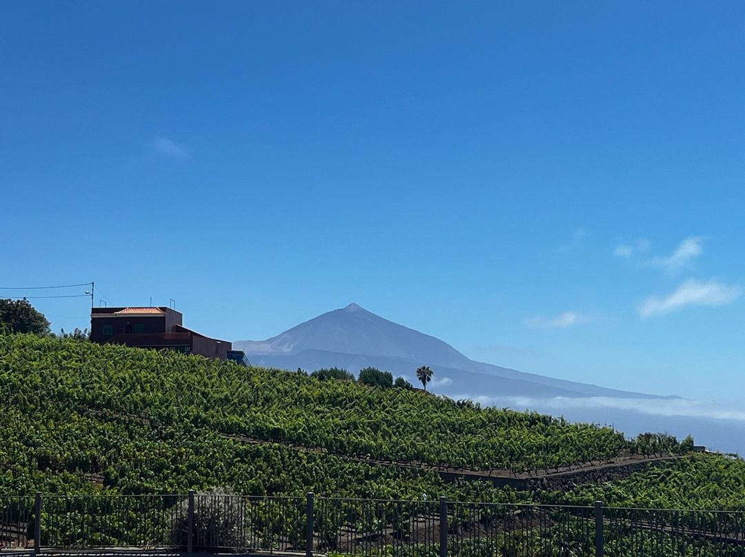 Bodegas Monje-El Sauzal必去景点