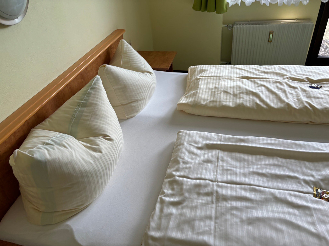 Hotel Alpenblick Berghof主图