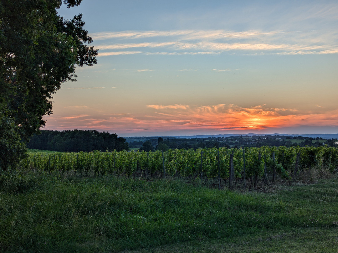 Les Grands Bois主图