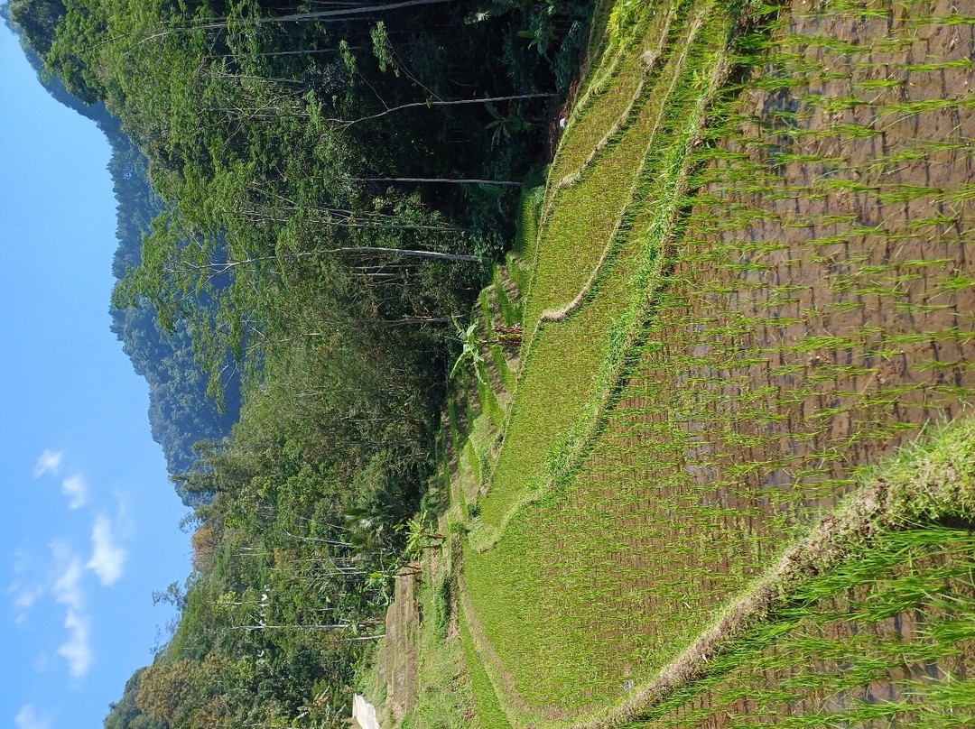 Jaker Tour Borobudur-Borobudur必去景点
