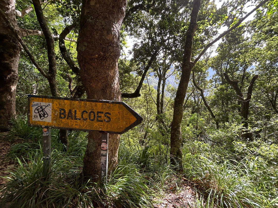 PR11 Vereda dos Balcões