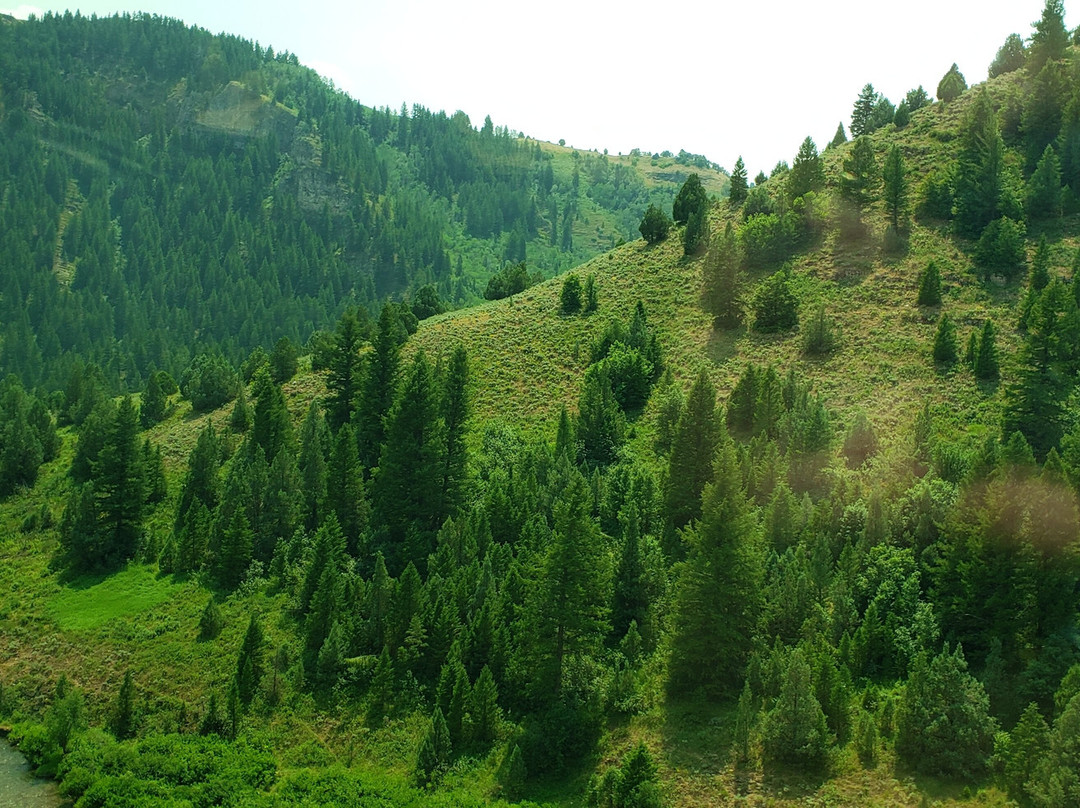 National Oregon / California Trail Center景点图片
