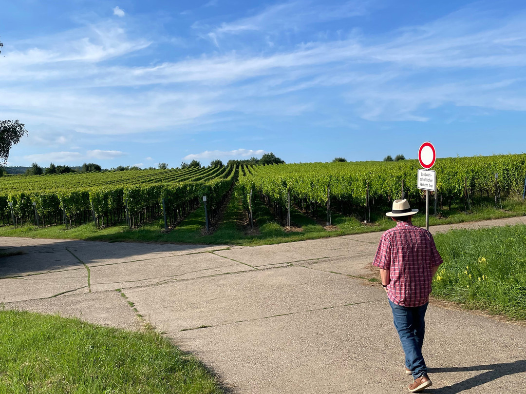 Landhotel Hauer主图