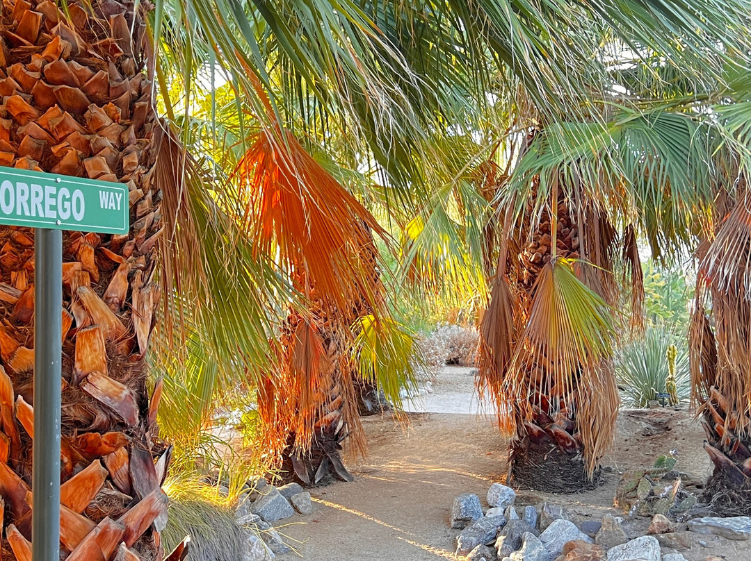 Abdnha Desert Garden