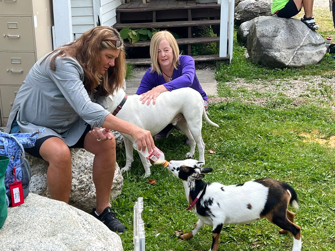 Chamberlin's Ole Forest Inn主图