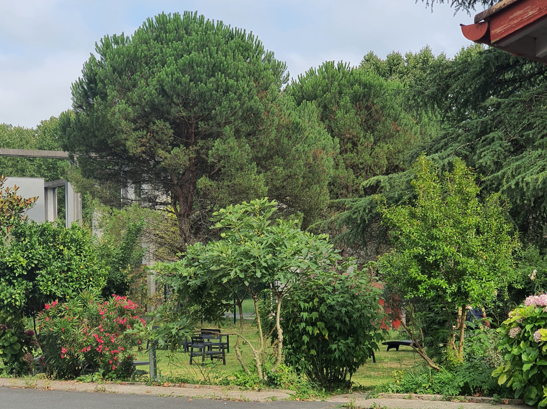 Hotel Pyrenees Atlantique主图