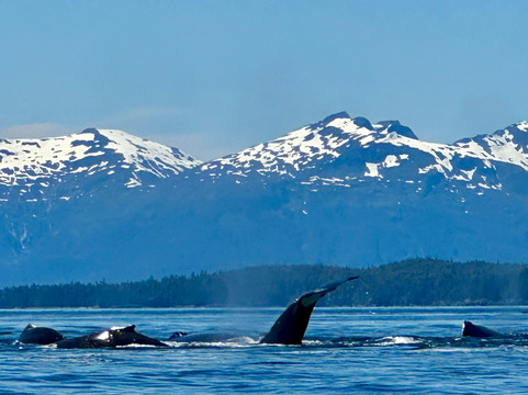 Dangerous Water Adventures-朱诺必去景点