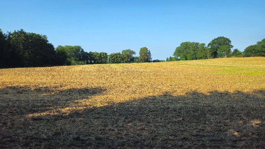 Landhotel Langholz主图