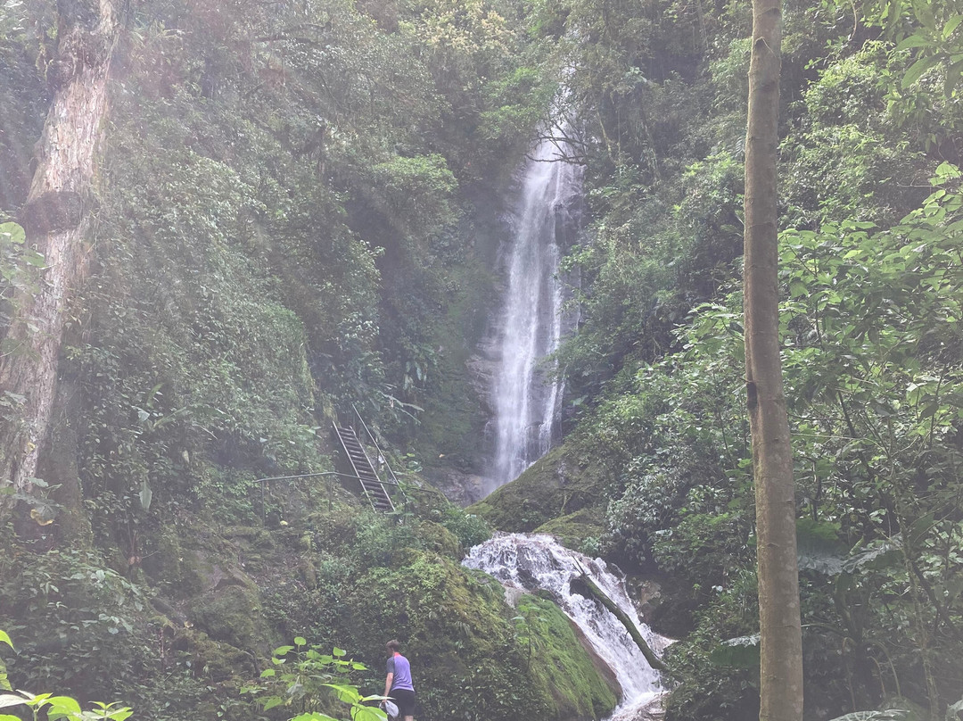 Hotel de Montana El Pelicano主图