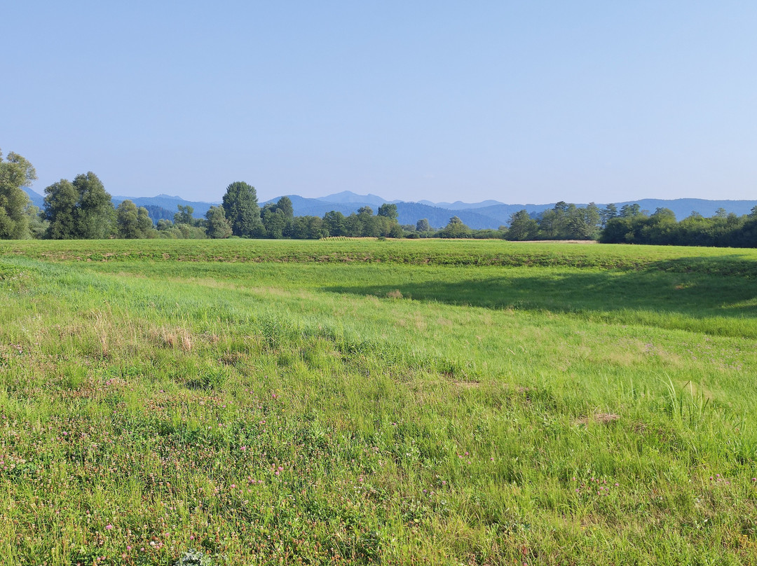 The Former Ljubljanica River Bed-Preserje必去景点