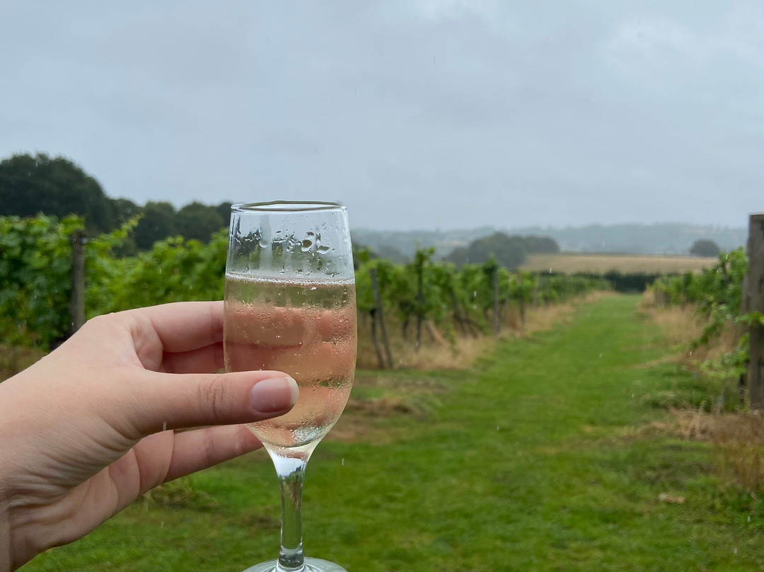 Astley Vineyard景点图片