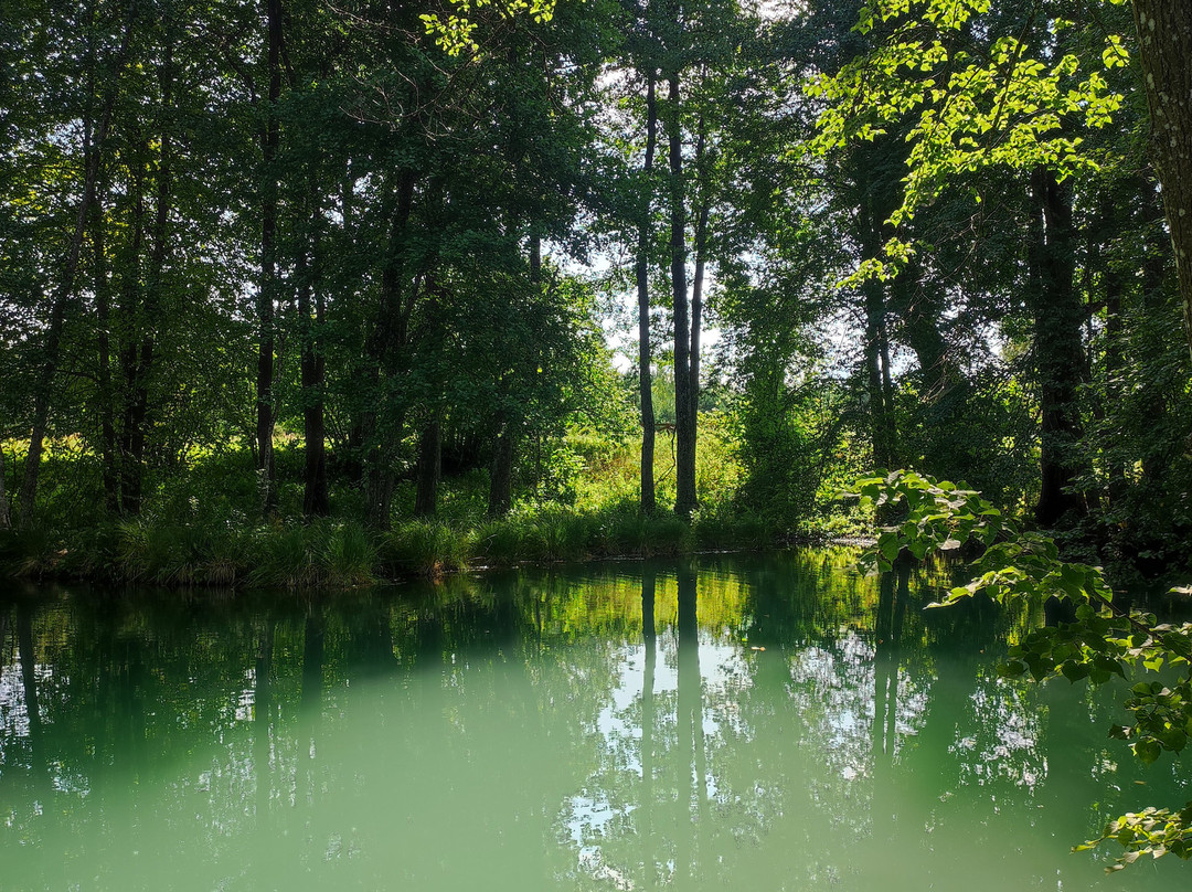 Blue Well/ Blue Krynica-Kliny必去景点