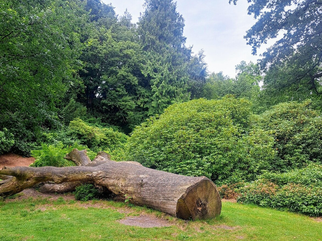 Schlosspark Lütetsburg-Luetetsburg必去景点