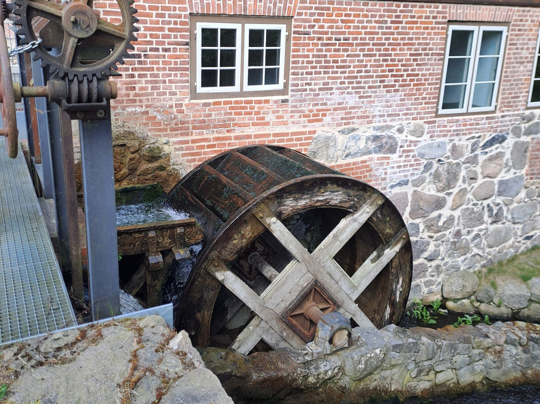 Jugendherberge Ratzeburg主图