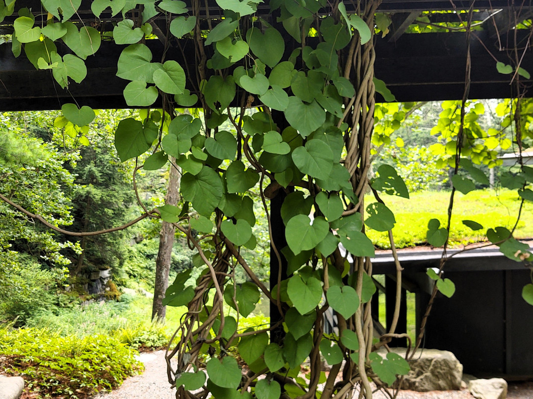 Manitoga / The Russel Wright Design Center景点图片