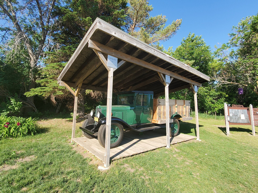 World's Largest Buffalo