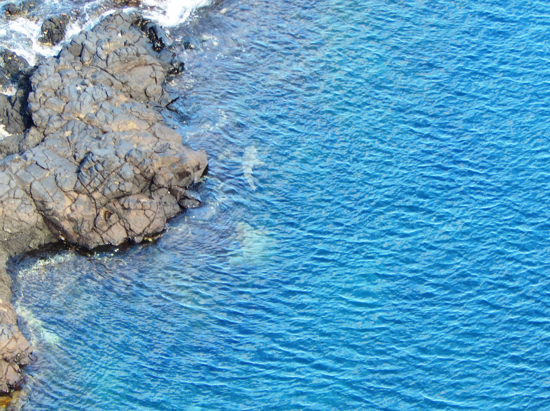 Baia dos Golfinhos-费尔南多-迪诺罗尼亚群岛必去景点