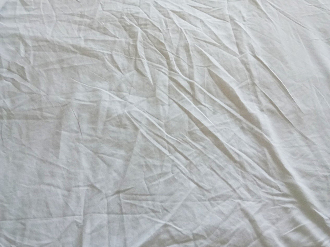 The Willow House主图