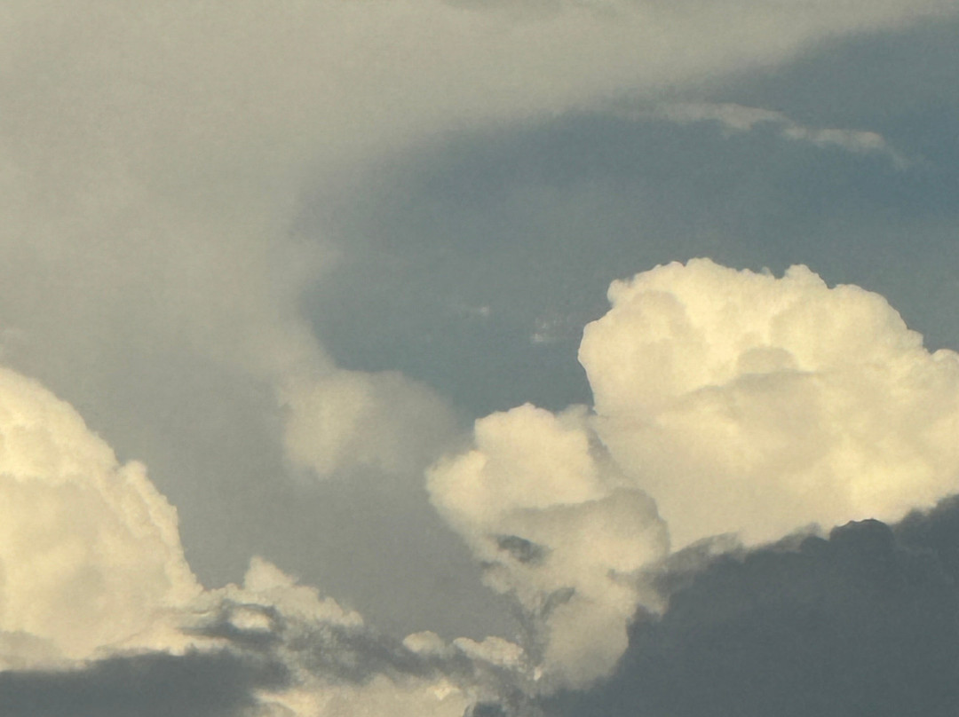 Kissimmee Prairie Preserve State Park-奥基乔比必去景点