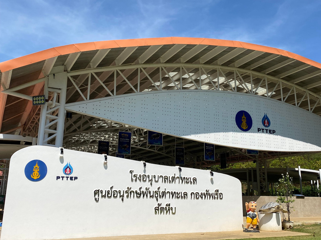 Sea Turtle Conservation Center, Sattahip-色桃邑必去景点