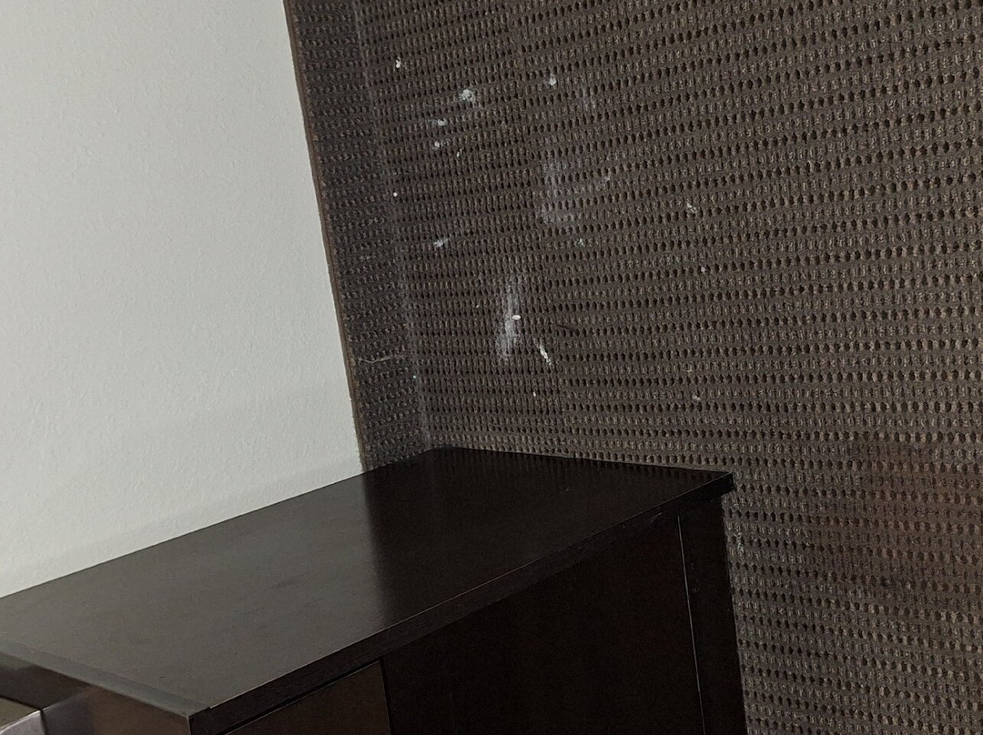 Garner Hotel Aiken South By IHG主图