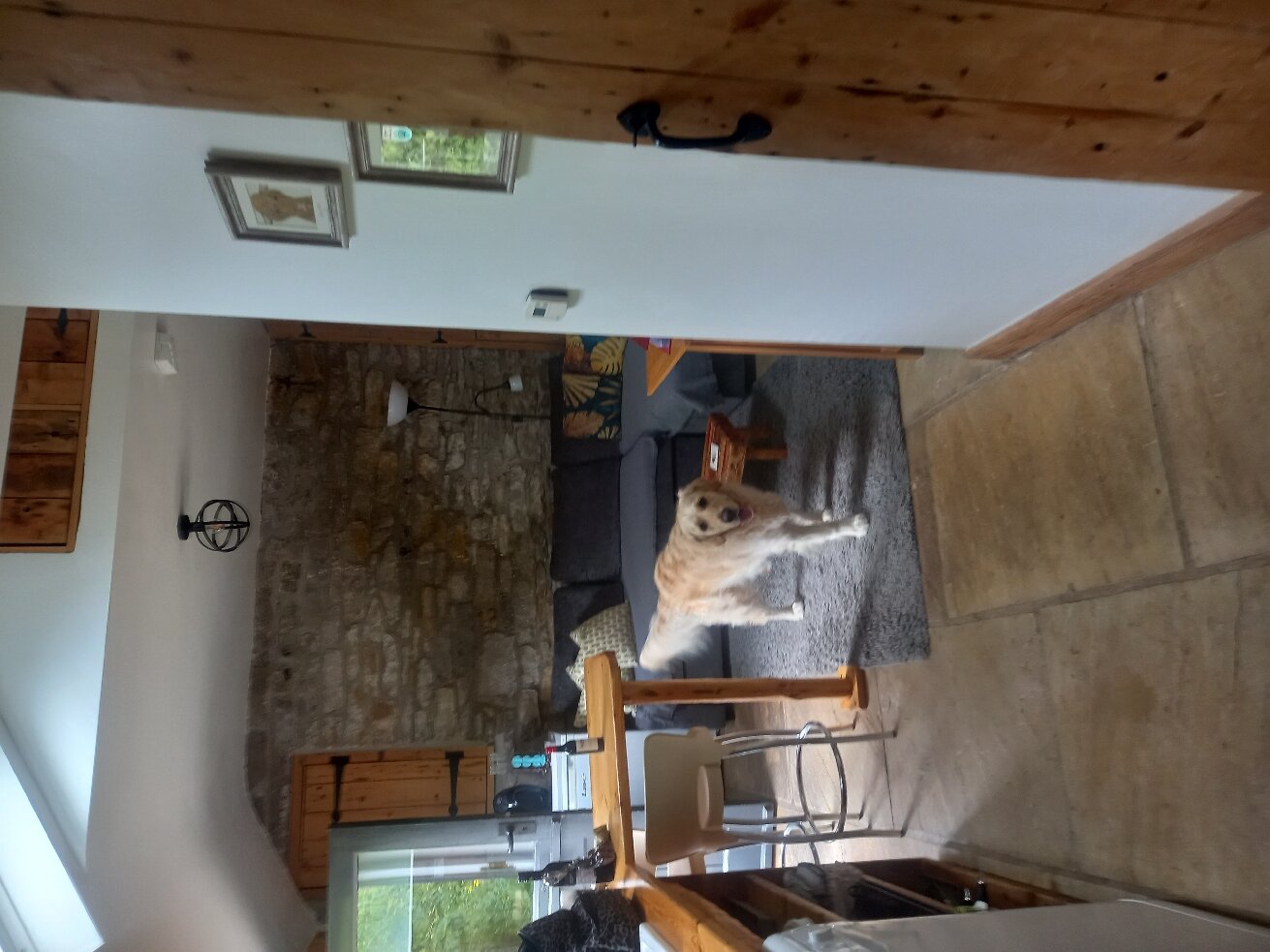 Speedwell House-官方