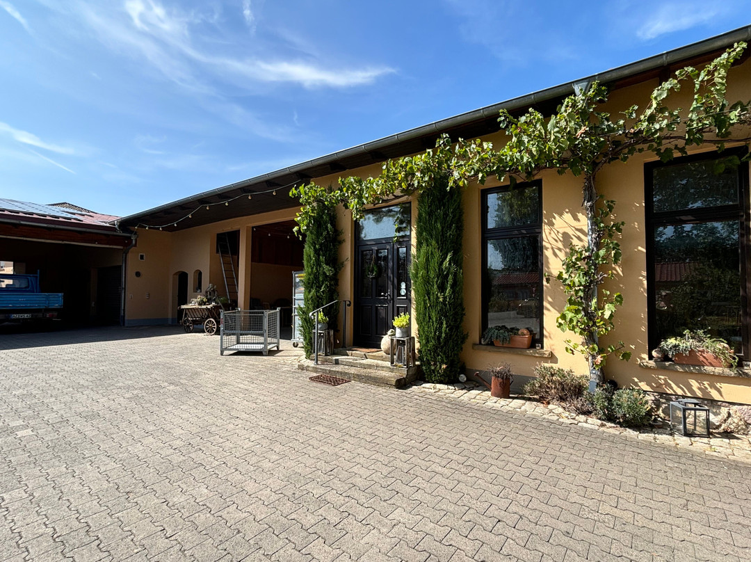 Weingut Sommer-Siefersheim必去景点