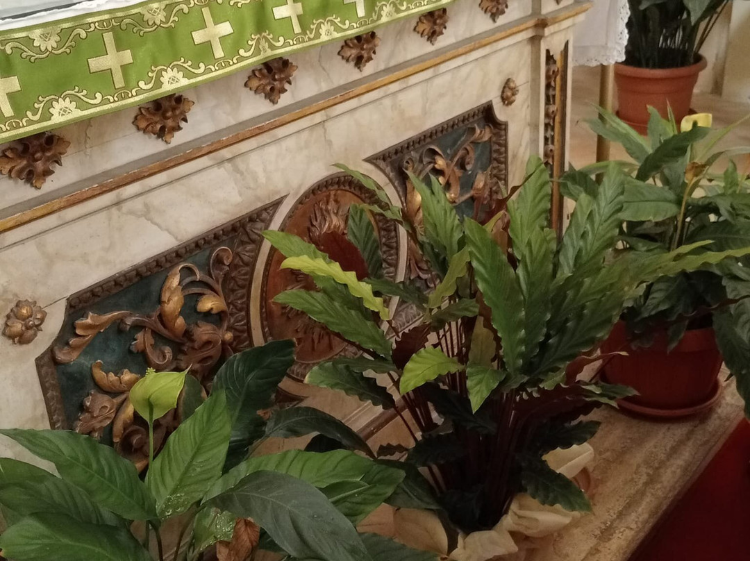 Chiesa del Crocifisso-菲乌米奇诺必去景点
