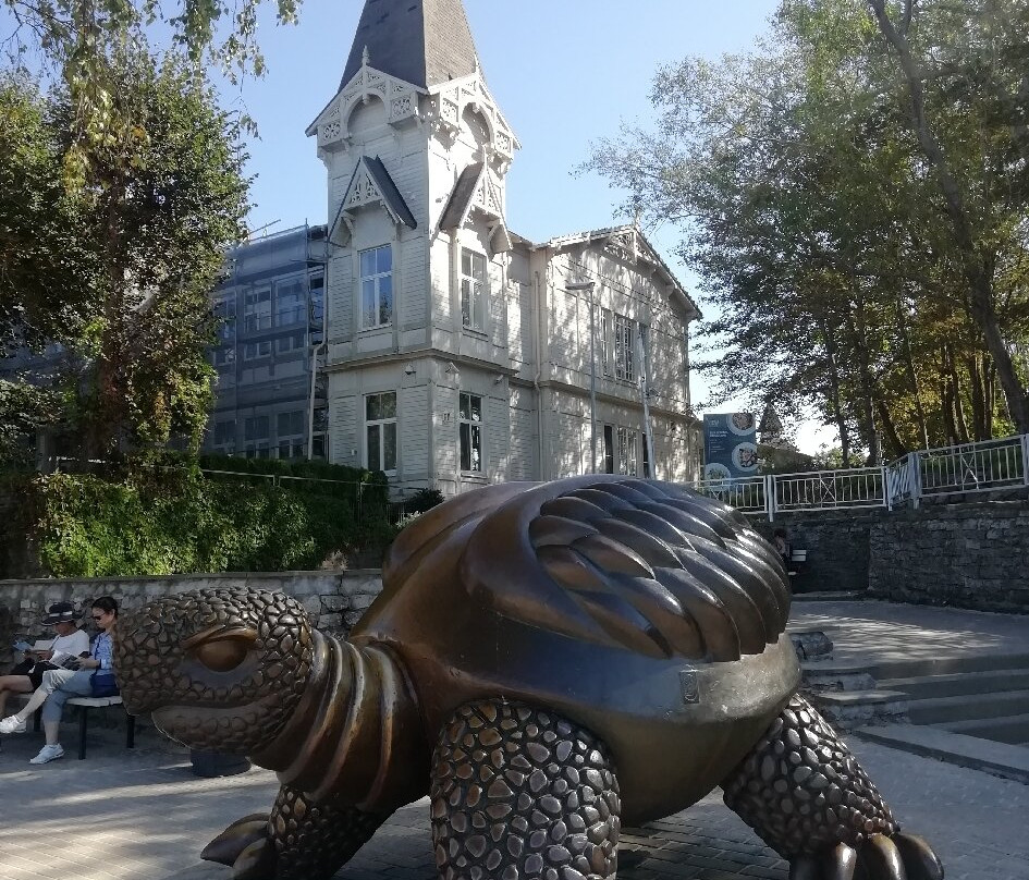 Brunurupucis (The Turtle)-尤尔马拉必去景点