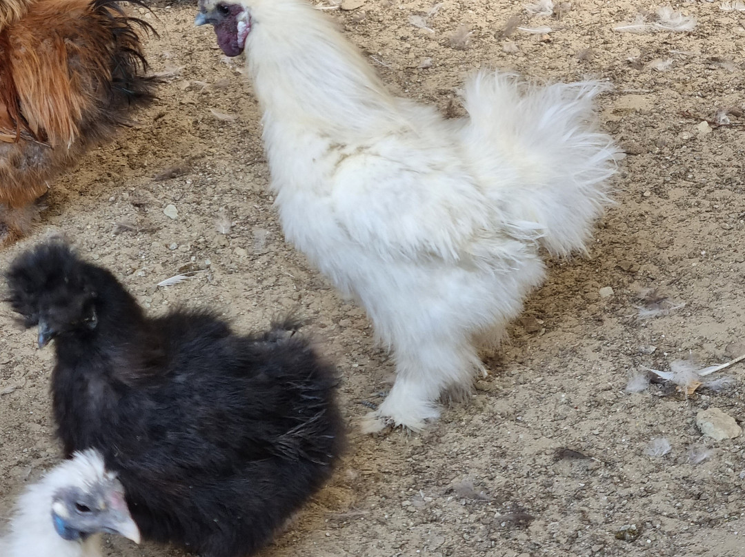 ZooClub-Bardar必去景点