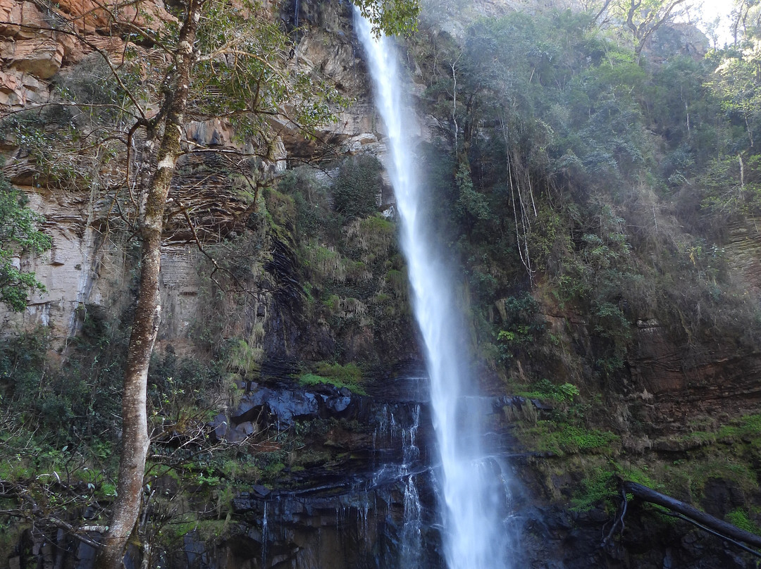 Lone Creek Falls-沙比必去景点