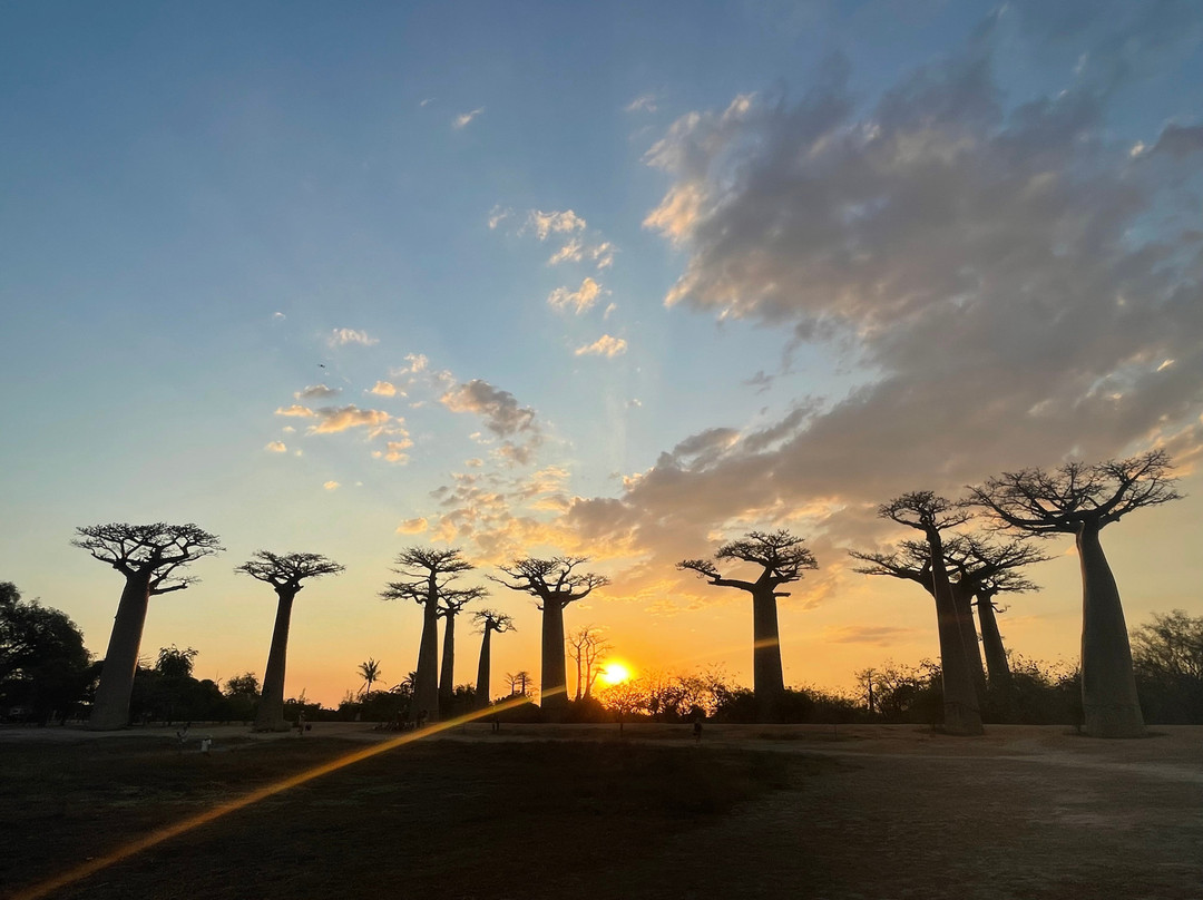 Tina Guide Accompagnateur Madagascar景点图片