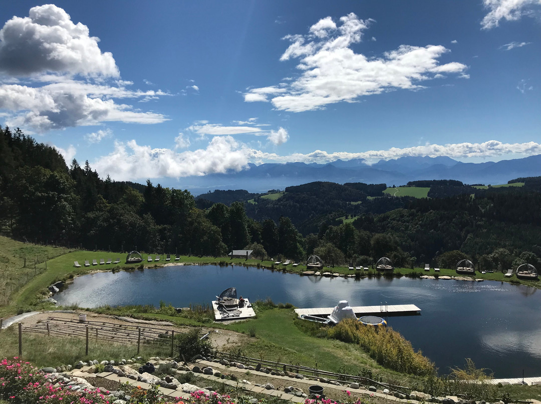 Gasthof Hotel Petschnighof主图