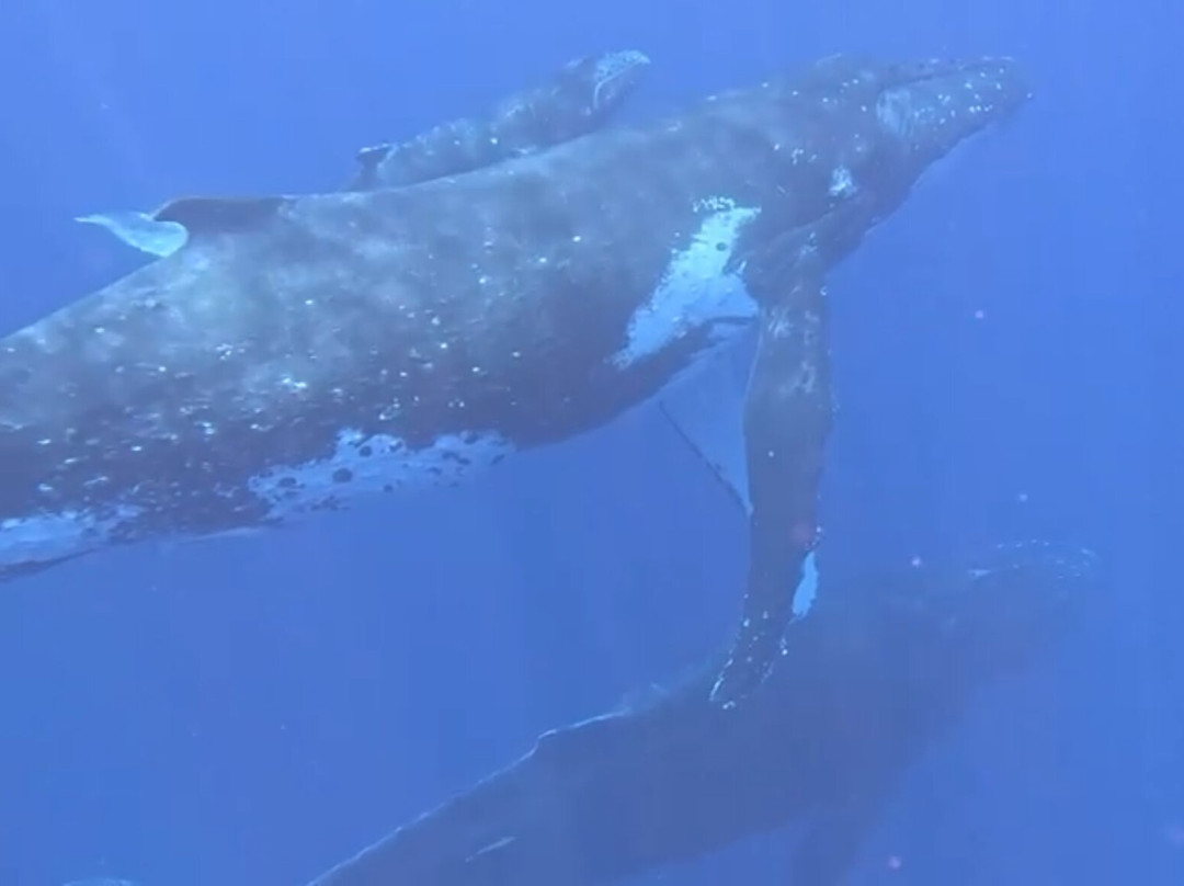 Treasure Island Eueiki Eco Resort主图