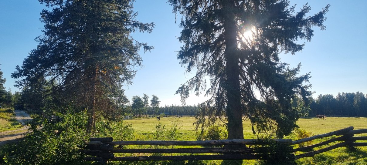 Terra Nostra Guest Ranch-酒店景观