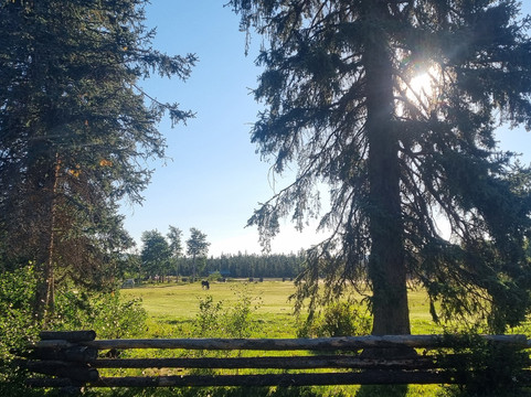 Terra Nostra Guest Ranch主图