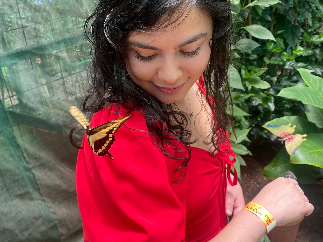 Butterfly Kingdom景点图片