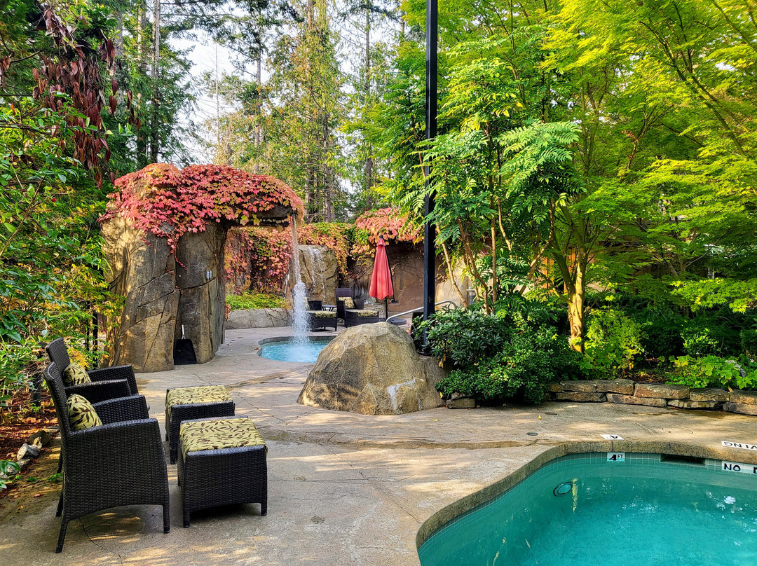 阳光海岸酒店住宿-Painted Boat Resort Spa & Marina